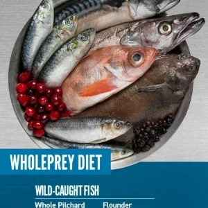 غذای خشک گربه اوریجن Orijen Six Fish وزن 340 گرم
