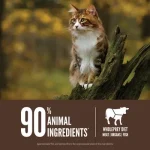 غذای خشک گربه اوریجن Orijen Cat Regional Red وزن 340 گرم