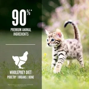 غذای خشک بچه گربه اوریجن Orijen Kitten