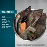 غذای خشک سگ بالغ اوریجن Orijen Small Bread Marine Fish وزن 1.8 کیلوگرم