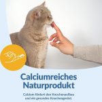 شیر گربه جیم کت Gim Cat حجم 200 میل