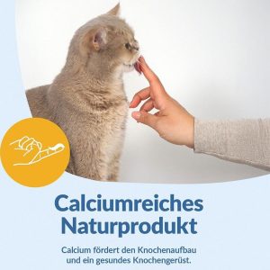 شیر گربه جیم کت Gim Cat حجم 200 میل