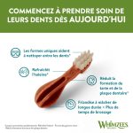 تشویقی سگ دنتال ویمزس Whimzees Toothbrush Xs بسته 48 عددی